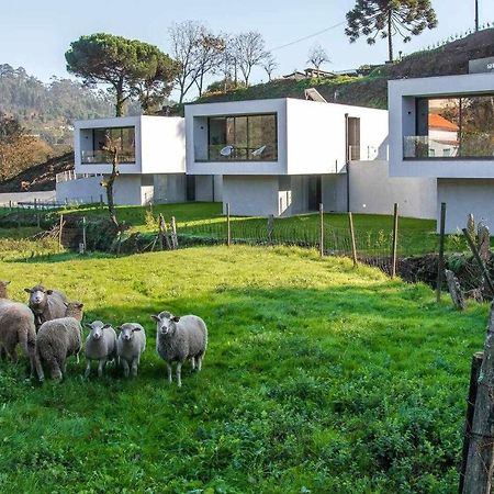 Viana Do Castelo - Amonde Village Casa P - Conforto Qualidade Natureza Exterior foto